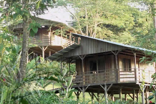 Selva Bananito Lodge 001